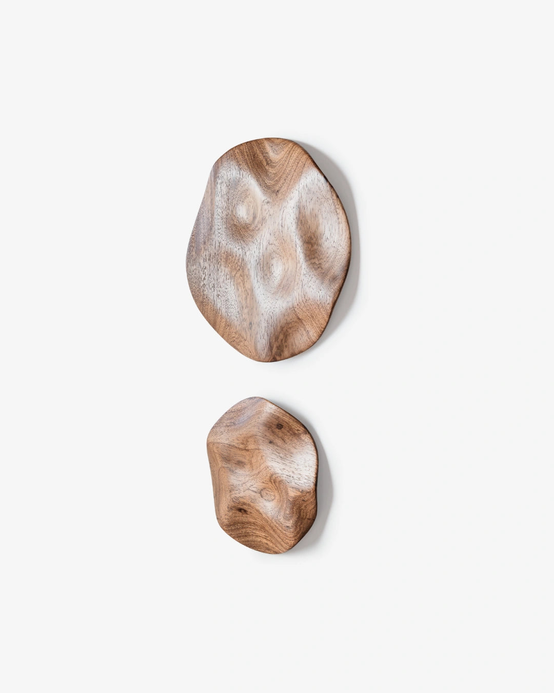 Conjunto de esculturas de parede Eco