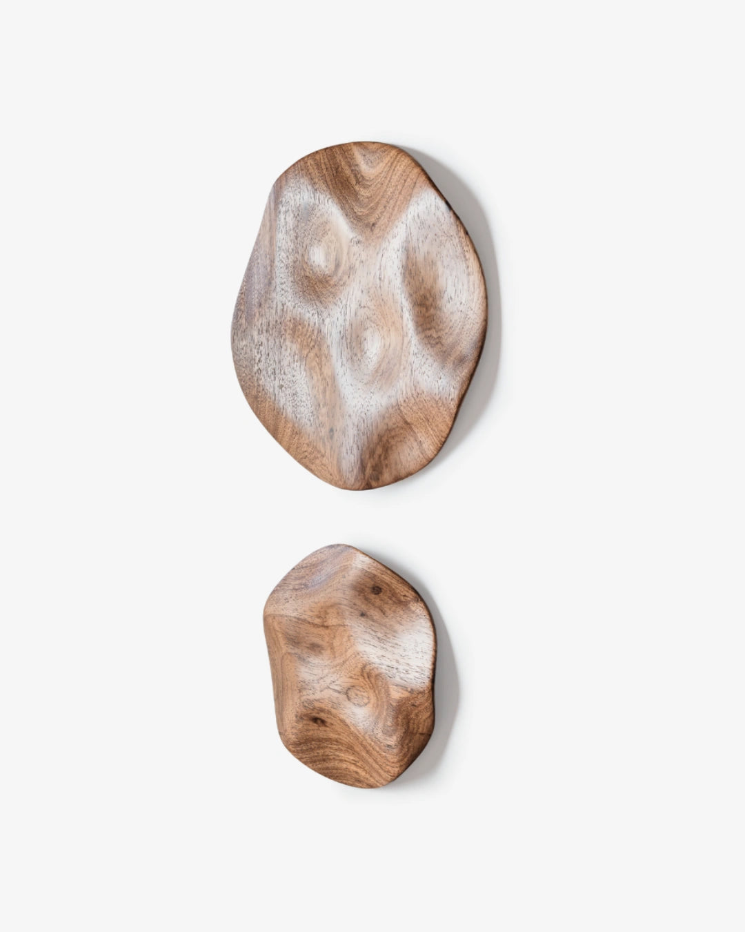 Conjunto de esculturas de parede Eco