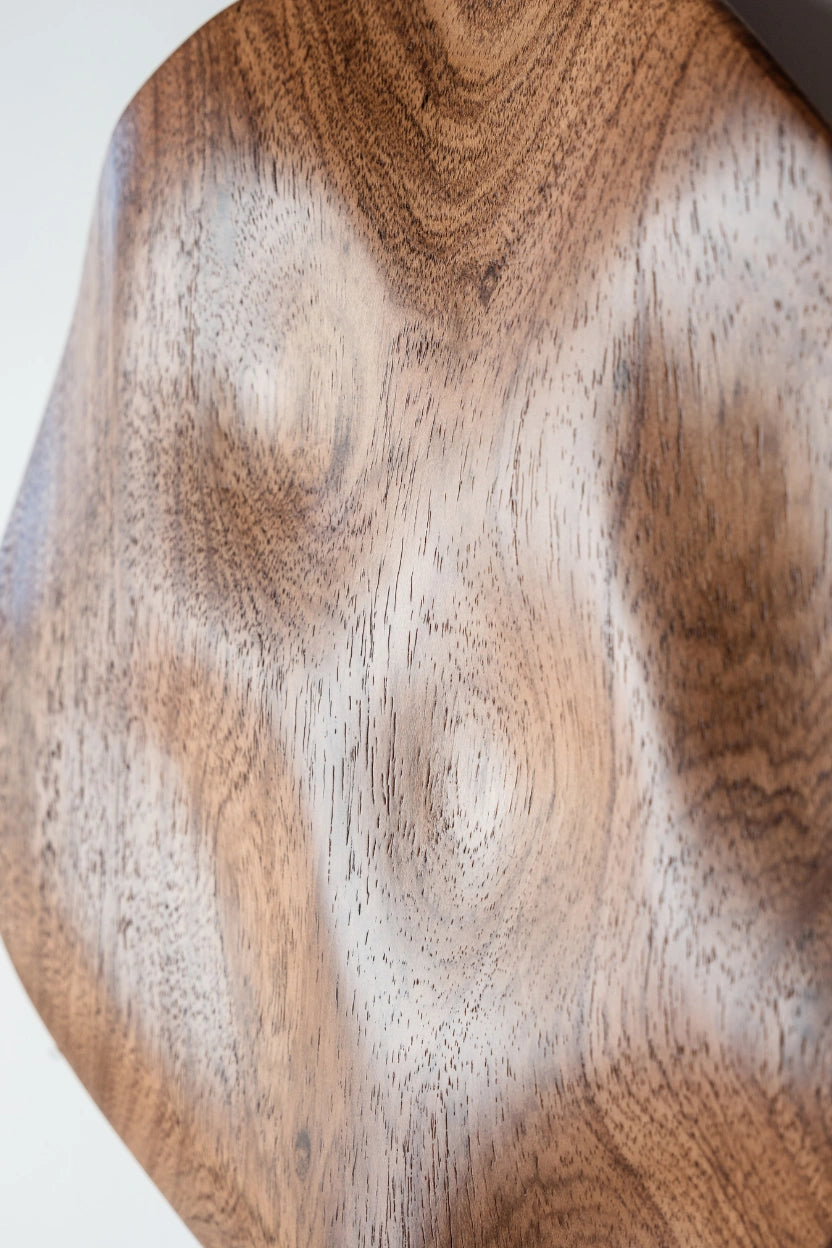 Escultura de parede Eco