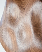 Escultura de parede Eco