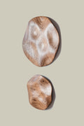 Conjunto de esculturas de parede Eco