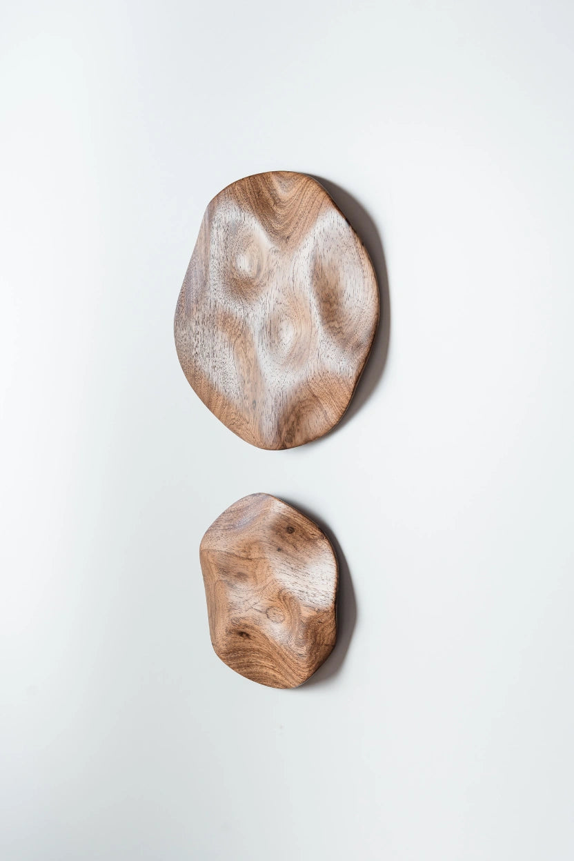 Conjunto de esculturas de parede Eco