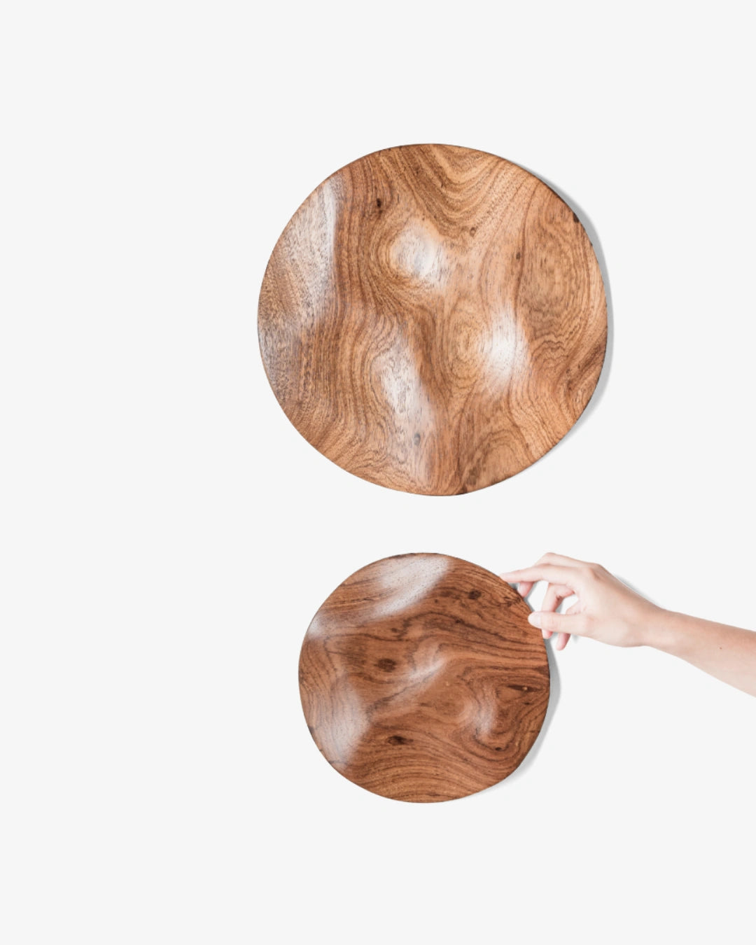 Conjunto de esculturas de parede Eco