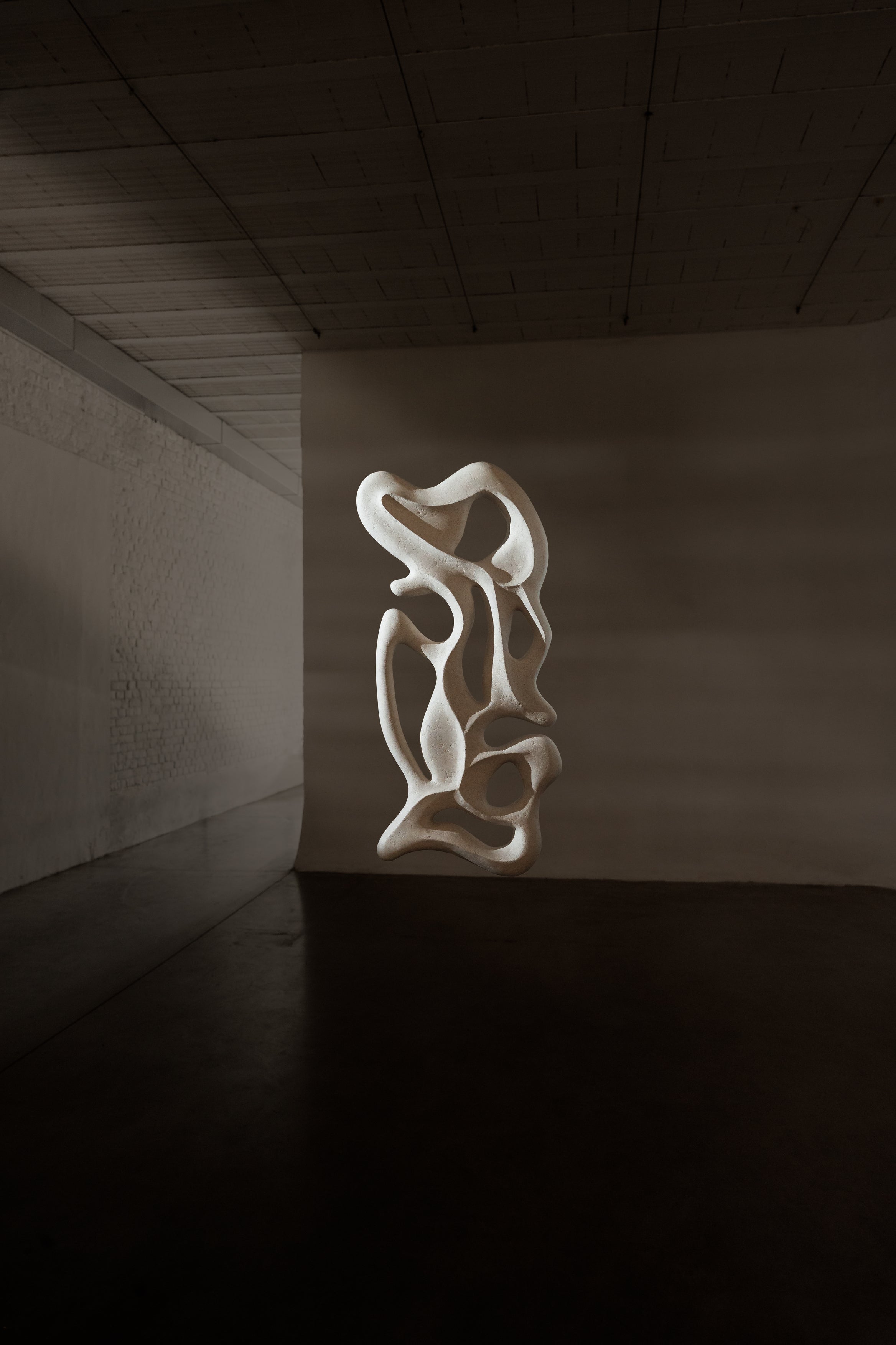 Escultura de parede Duna