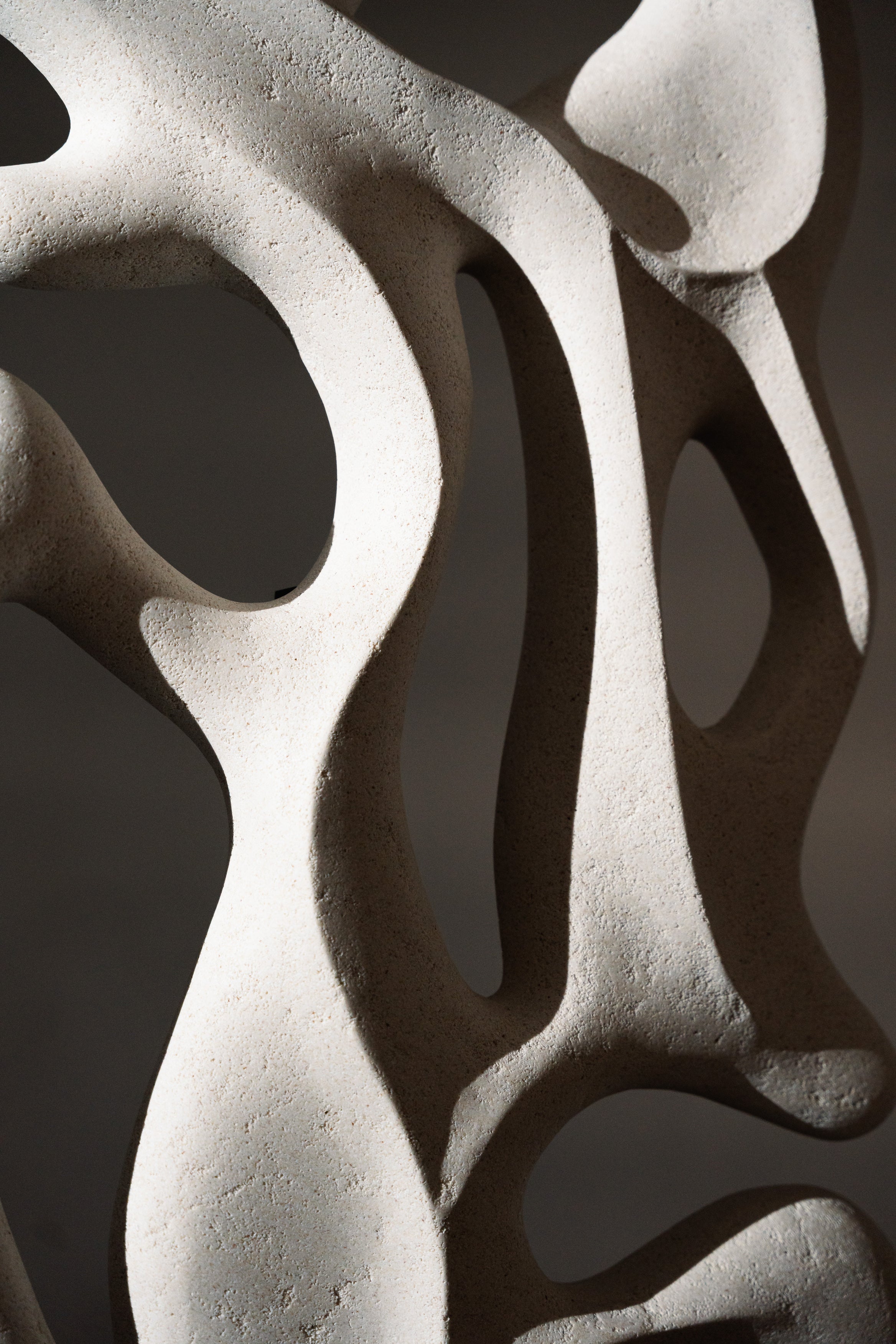 Escultura de parede Duna