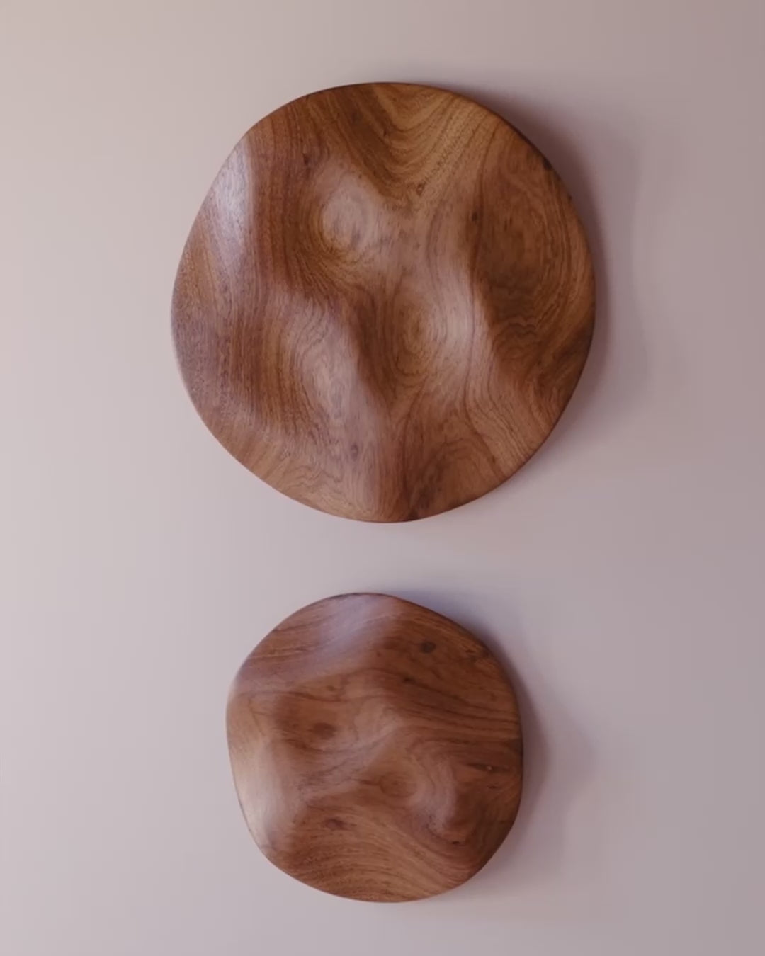 Escultura de parede Eco